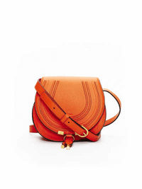 Small Marcie Bag in Rusted Orange