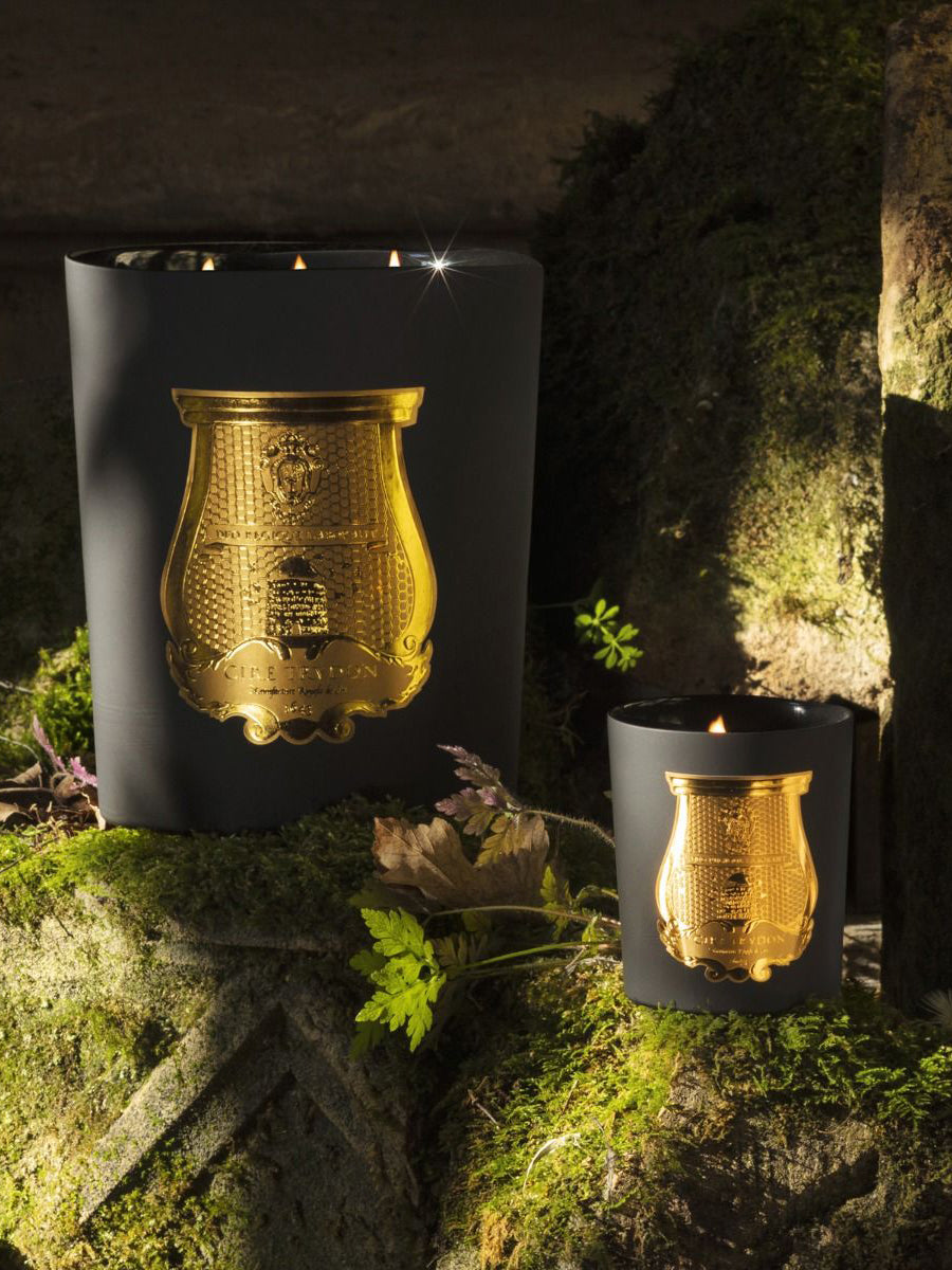 Cire Trudon Mary Candle 270g | Designer Candles | Cosette